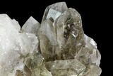Rutilated Quartz Crystal Cluster - Brazil #109241-2